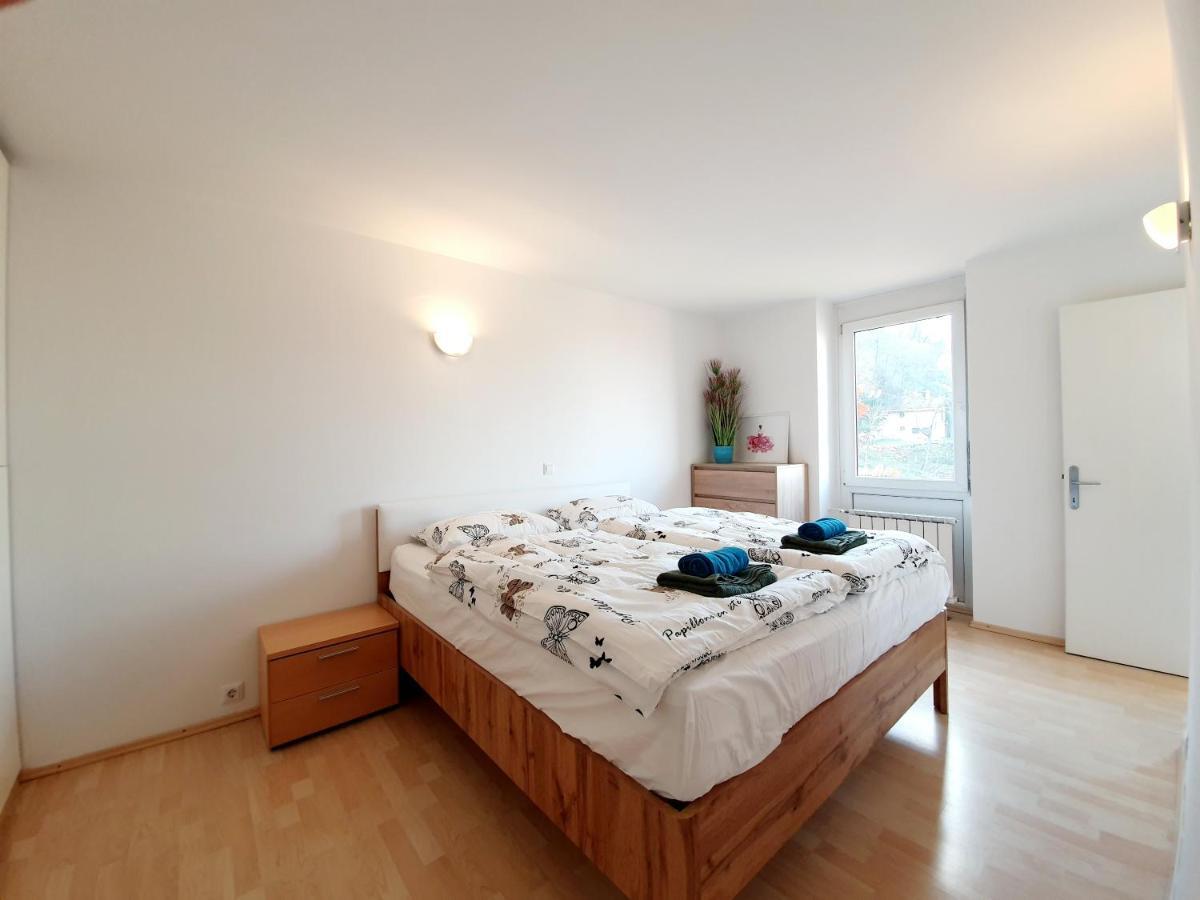 Bossa Nova Castle&Outstanding Home With Garage Lubiana Esterno foto