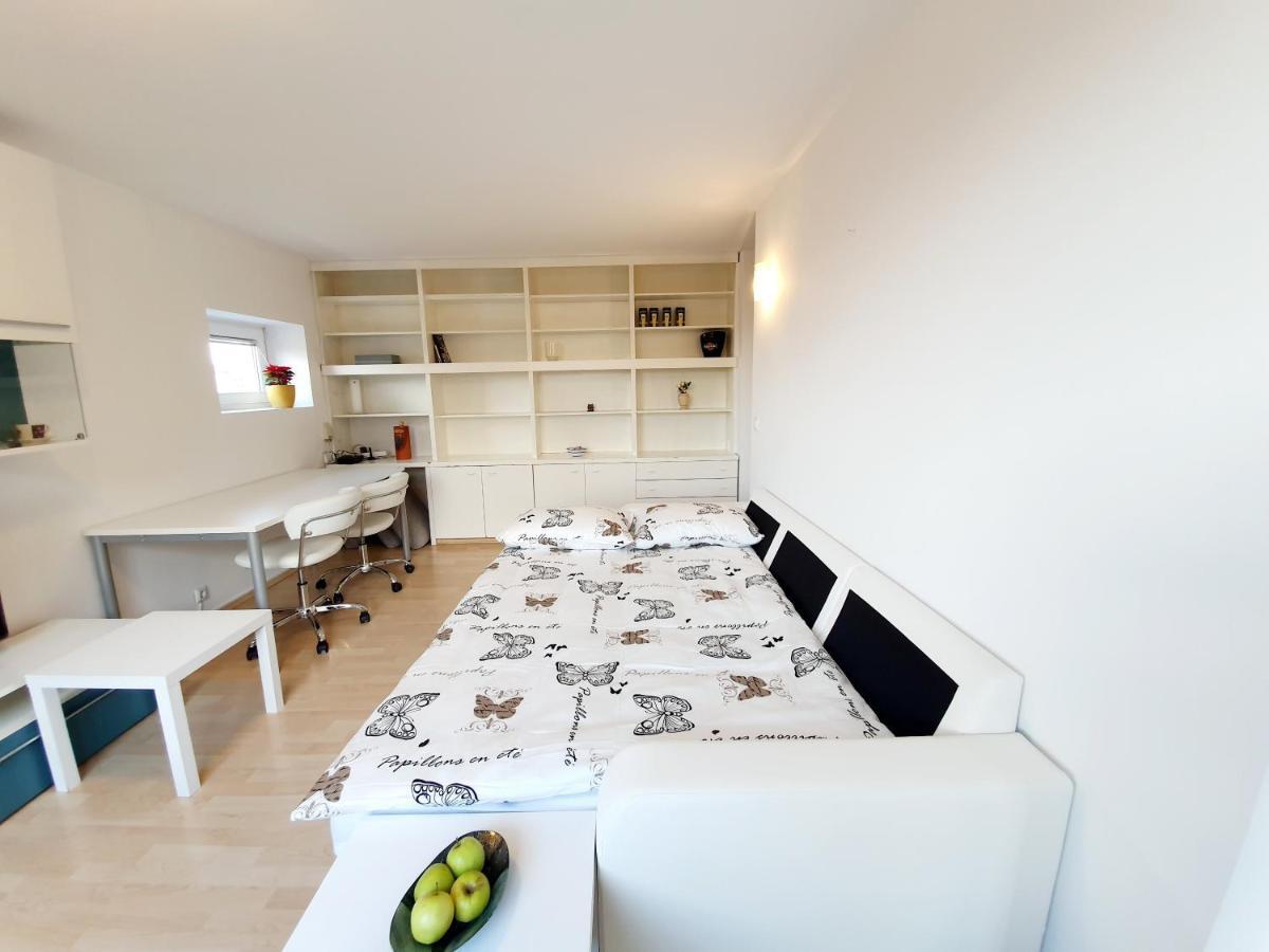 Bossa Nova Castle&Outstanding Home With Garage Lubiana Esterno foto