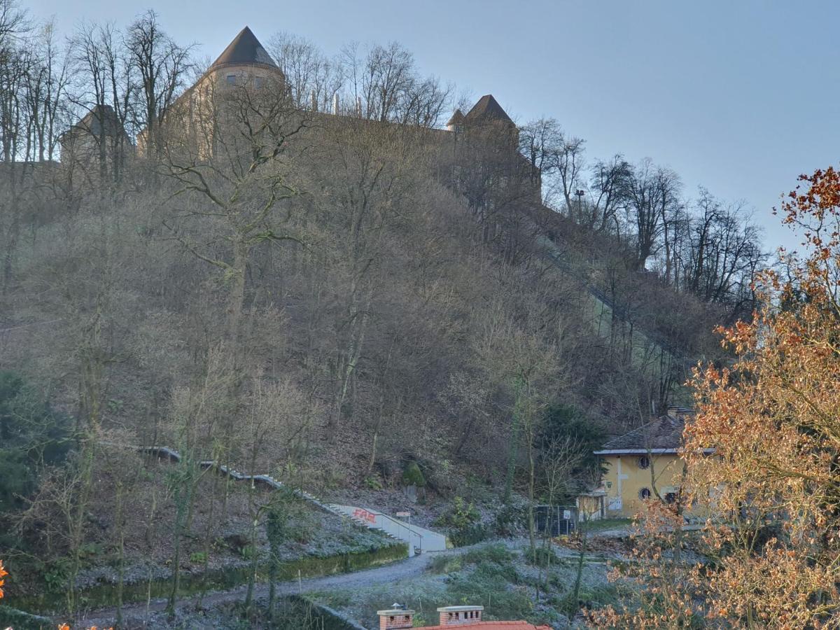 Bossa Nova Castle&Outstanding Home With Garage Lubiana Esterno foto
